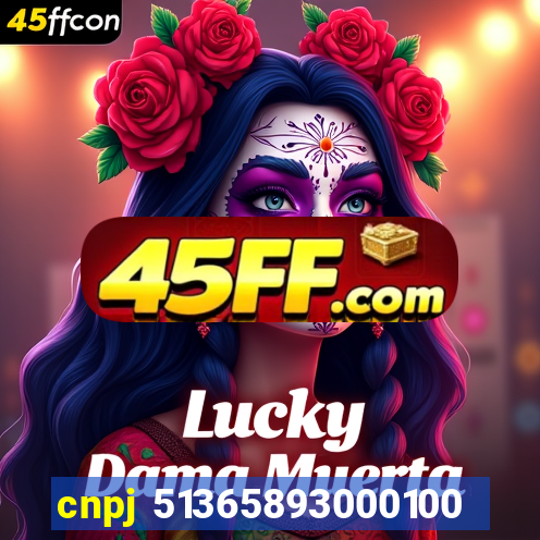 cnpj 51365893000100